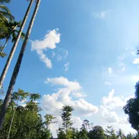 original sound - indoutfitt