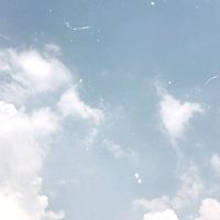 dreams_tmblr
