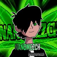 nanomezch
