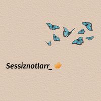 sessiznotlarr_