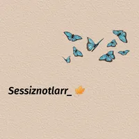 original sound - sessiznotlarr_