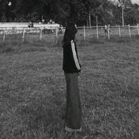 lutii..4