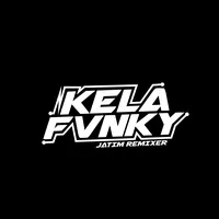 DJ JAUH KO PERGI KELA FVNKY