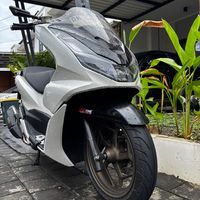 standarduaa