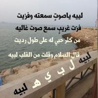 user3782242911674