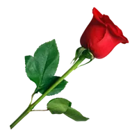 original sound - swathi___7869