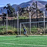 nayef_hashem_32213