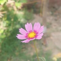 its_jannat_291