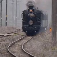 korsevg