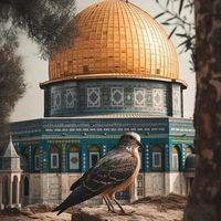 palestinian269
