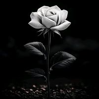 appukutty485