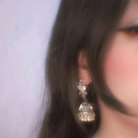 abeehaansarii