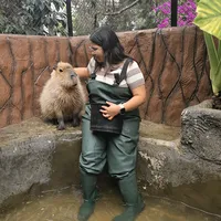 original sound - michelle_sheeran