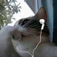 الصوت الأصلي