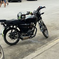 pedro66293
