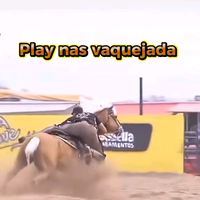 playnasvaquejada