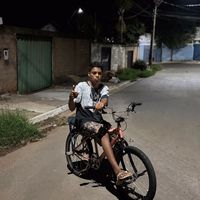 jefin__s244