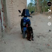 smmalinwa