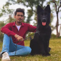 original sound - itsfaisalnaqvi