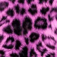 オリジナル楽曲 - 美