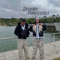 orijinal ses