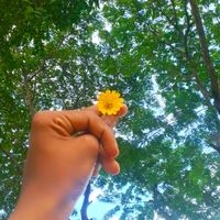 sk.jibon1735