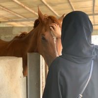 الصوت الأصلي