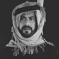 original sound - ud99i