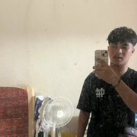 pauldustinsolis