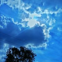 suara asli - salman