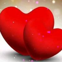 izhar8132