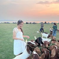 เสียงต้นฉบับ - ครีมที่มีเหนียงอะ🐷