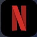 netflix.moviesssx1