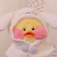 duck__mikkaa