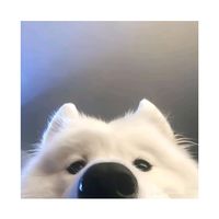 kanlaya_01