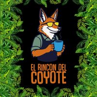 elrincondelcoyote