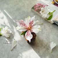nhạc nền - Mềm cake & class