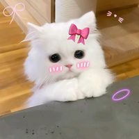 original sound - heartyyy*"':;!?