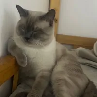 original sound - maryjanebiado6