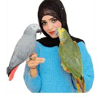 syedanaqvi5555