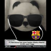 soz555555