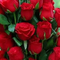 basir.ahamad22