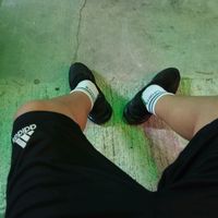 dante.godoy528