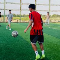 nshov1
