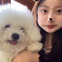 aniesubdee