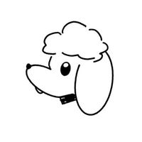 joekipop