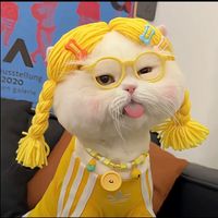 mắt của bạn đâu...