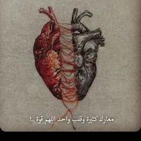 zainab12_6