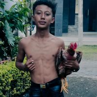 farm_jakon_pitek_16
