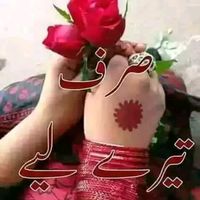rauf76788